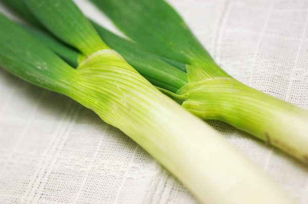 無肥料・自然栽培】九条ネギ 香が良く甘みのある京野菜［徳島県：若葉農園］【v400】 | 野菜 | ハート.netshop